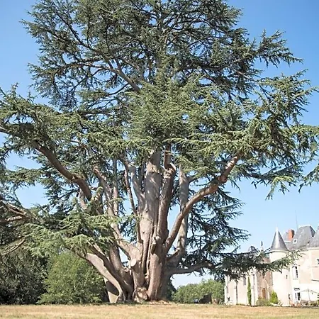 Château De Piolant Couette-café