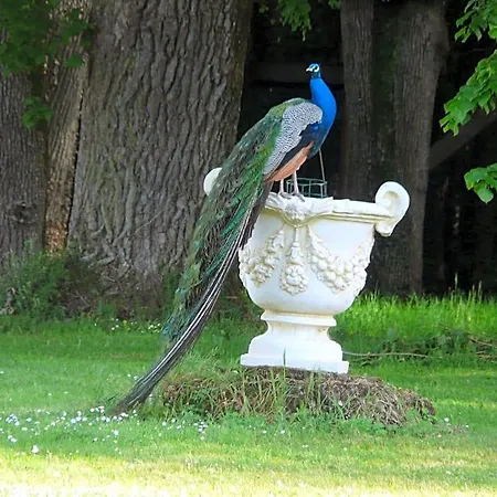 Château De Piolant Couette-café Dange-Saint-Romain