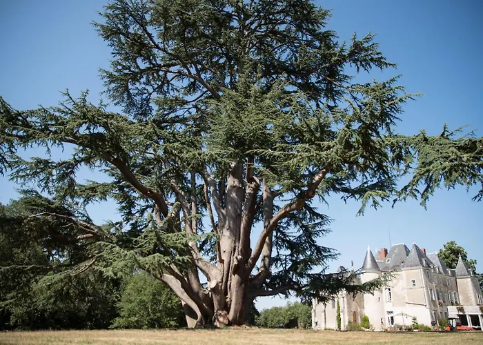 Château De Piolant Dange-Saint-Romain
